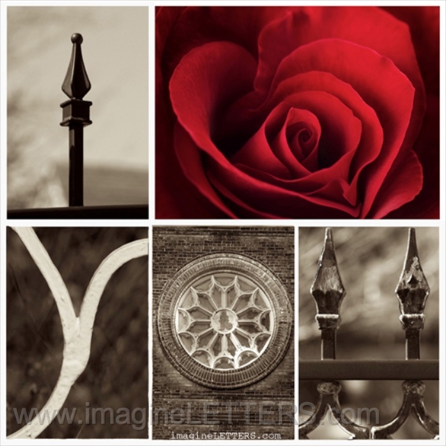 Wall_Art_Alphabet_Photography_Art_ 907.jpg